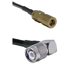 fieldcomponents202607172133521873773