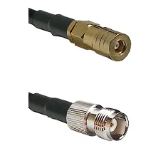 fieldcomponents202607172144011875757
