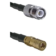 fieldcomponents202607172223321883549
