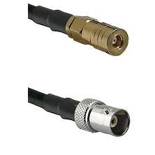 fieldcomponents202607172236101885461