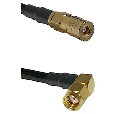 fieldcomponents202607172319211891646