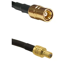 fieldcomponents202607172332381893961