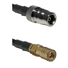 fieldcomponents202607180141281917932