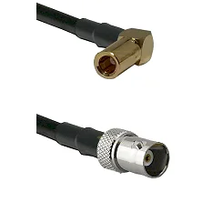 fieldcomponents202607180304291935316
