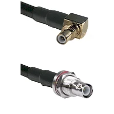 fieldcomponents202607180306161935705