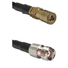 fieldcomponents202607180308031936075