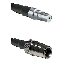 fieldcomponents202607180330191940778