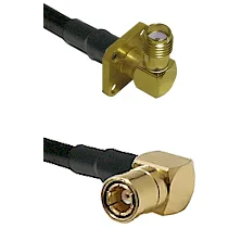 fieldcomponents202607180338091942448