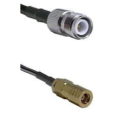 fieldcomponents202607180345001943932