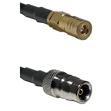 fieldcomponents202607180426241952625