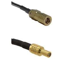 fieldcomponents202607180444491956537