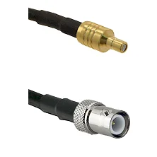 fieldcomponents202607180607241974419