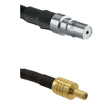 fieldcomponents202607180650431983479