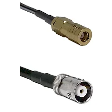 fieldcomponents202607180652291983883