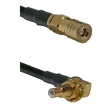 fieldcomponents202607180725291991402