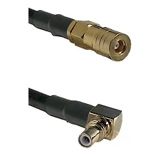 fieldcomponents202607180739471994565