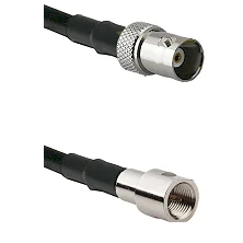 fieldcomponents202607180806442000322