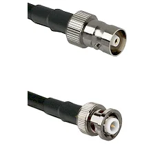 fieldcomponents202607180918002016147