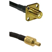 fieldcomponents202607181209012059282