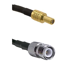 fieldcomponents202607181216552061341