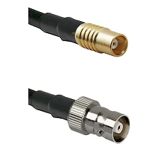 fieldcomponents202607181419002094071