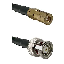 fieldcomponents202607181657392135385