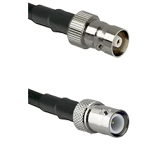 fieldcomponents202607181738252146562