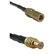 fieldcomponents202607181742582147877