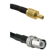 fieldcomponents202607182157302210794