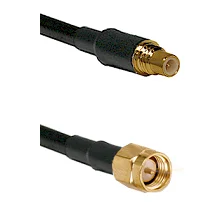 fieldcomponents202607190038442249396