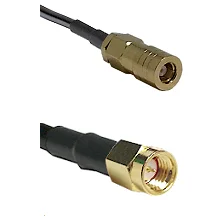 fieldcomponents202607190046462251387