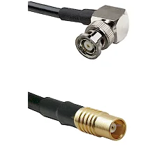 fieldcomponents202607190109132256859