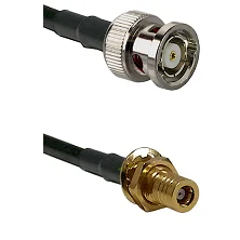 fieldcomponents202607190136472262936
