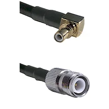 fieldcomponents202607190147042265211