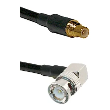 fieldcomponents202607190207112269706