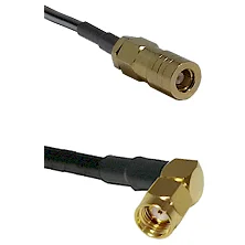 fieldcomponents202607190212142270889