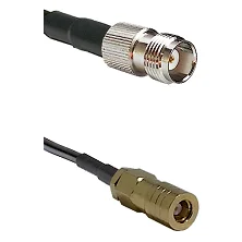 fieldcomponents202607190215172271581