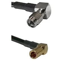fieldcomponents202607190239542277145