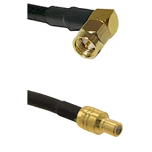 fieldcomponents202607190319262288512