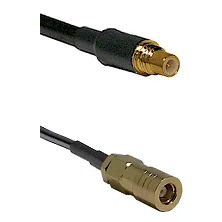fieldcomponents202607190344542296016