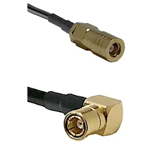 fieldcomponents202607190346382296501