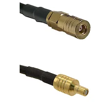 fieldcomponents202607190352252298159