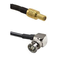 fieldcomponents202607190458312316813