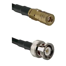 fieldcomponents202607190517112322350