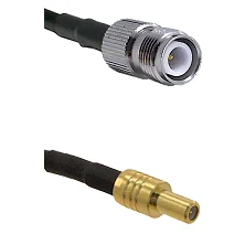 fieldcomponents202607190528302325308