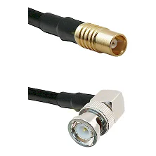 fieldcomponents202607190542242328838