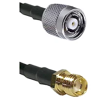 fieldcomponents202607190554072331707