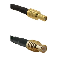 fieldcomponents202607190554442331863