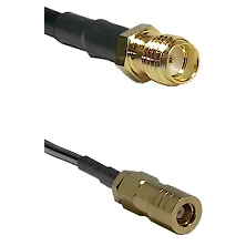 fieldcomponents202607190557362332601
