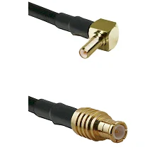 fieldcomponents202607190625312339656